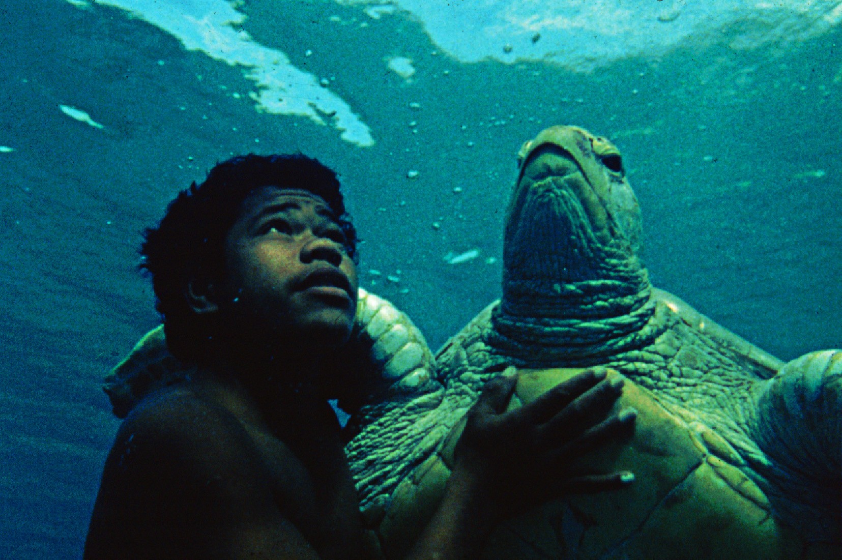 Film The Silent Sea The Silent One